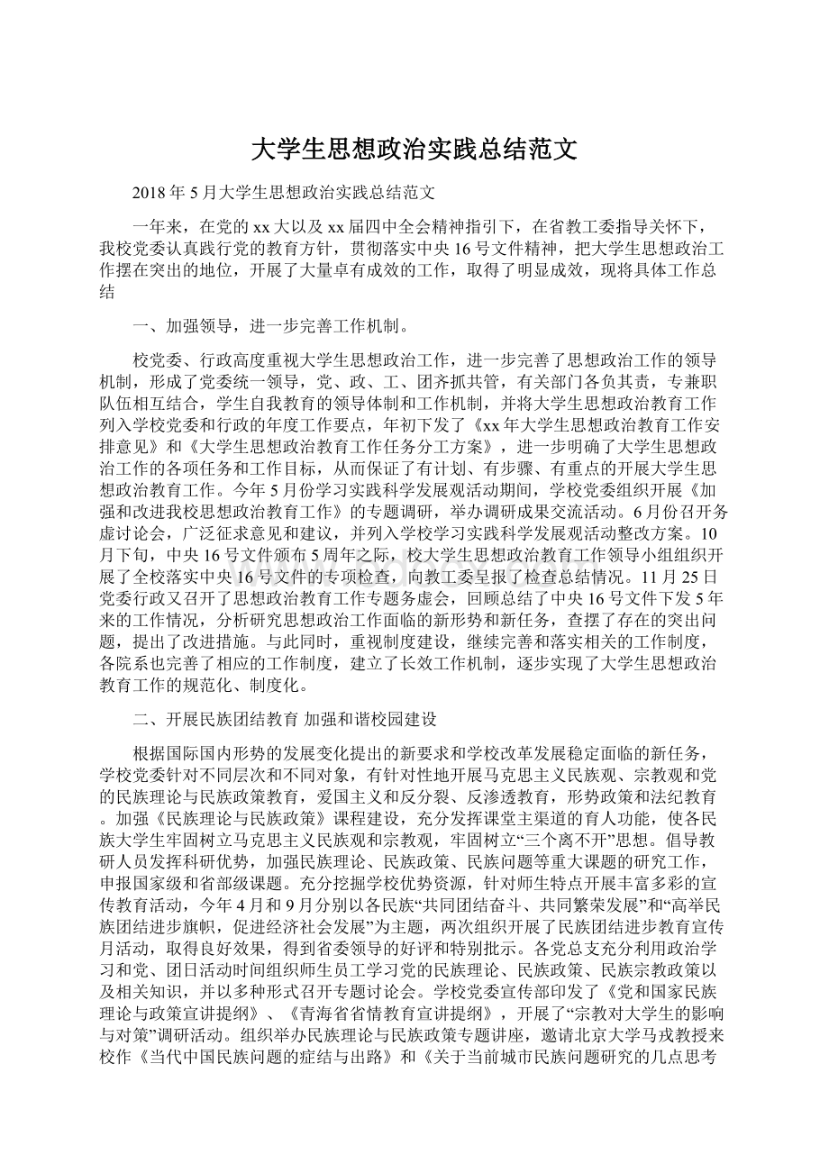 大学生思想政治实践总结范文.docx