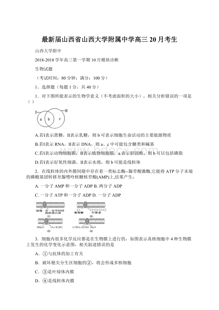 最新届山西省山西大学附属中学高三20月考生.docx_第1页