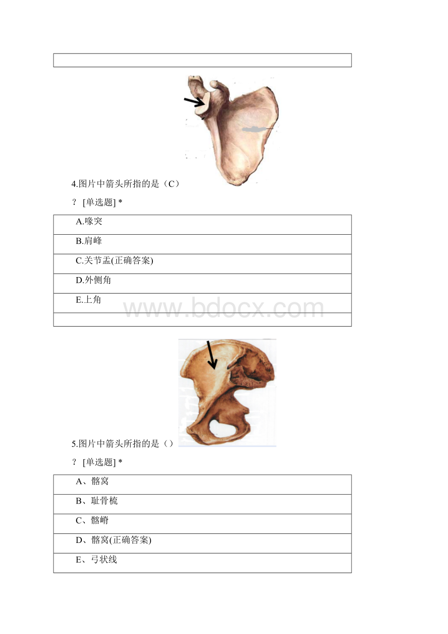 人体解剖学五.docx_第3页