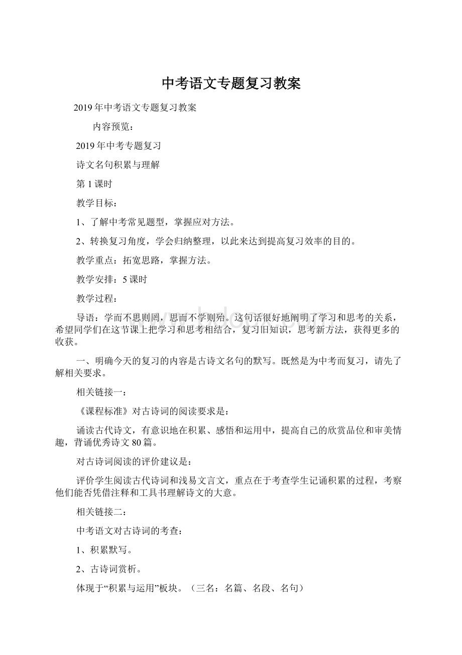 中考语文专题复习教案.docx_第1页