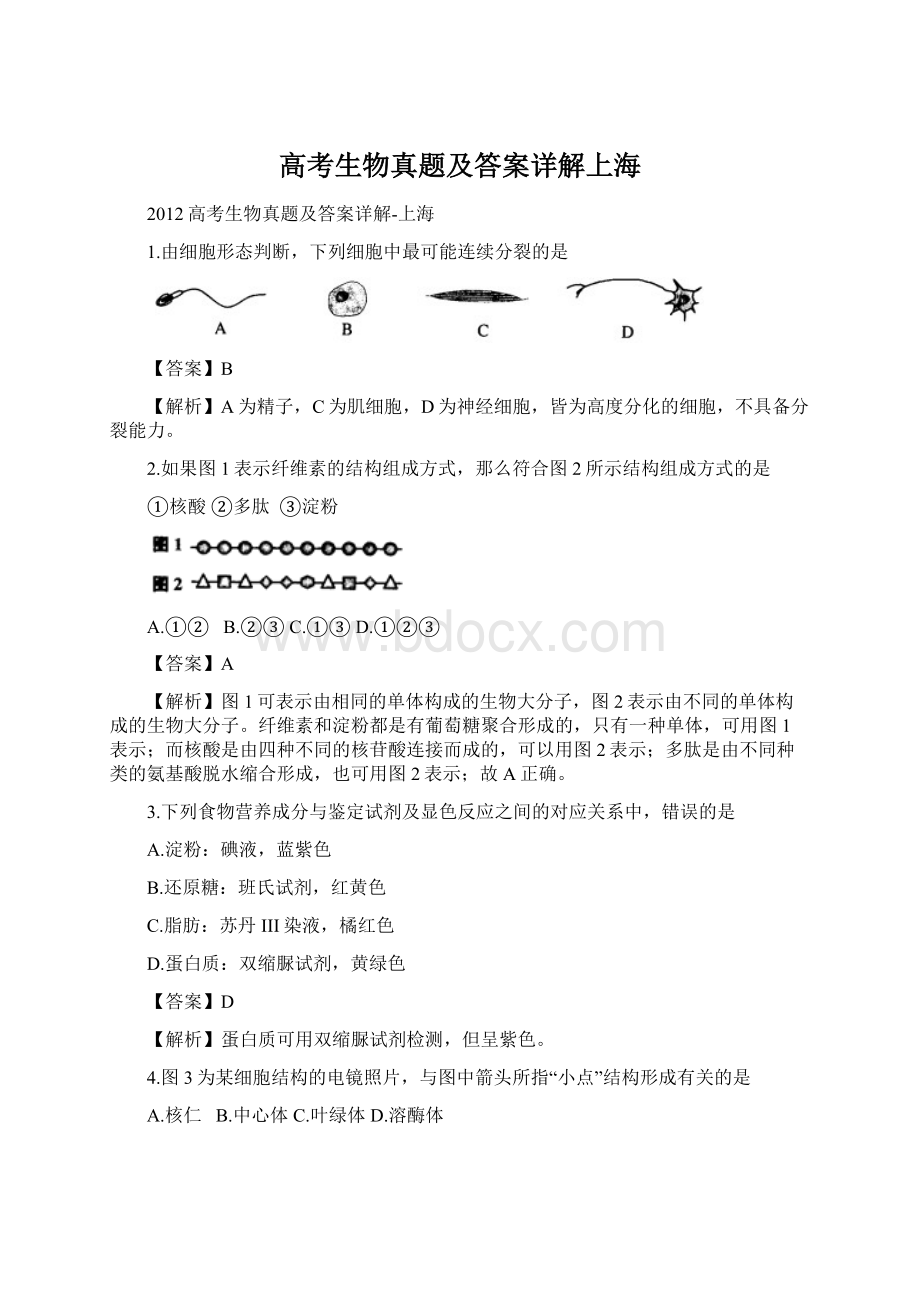 高考生物真题及答案详解上海.docx_第1页