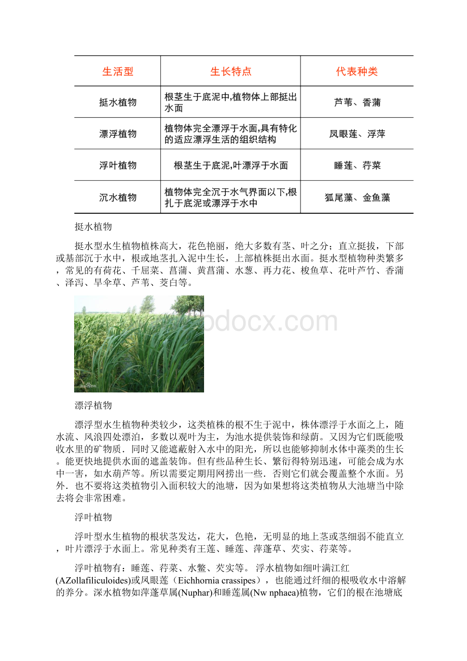 完整版生态修复中水生植物的运用.docx_第3页