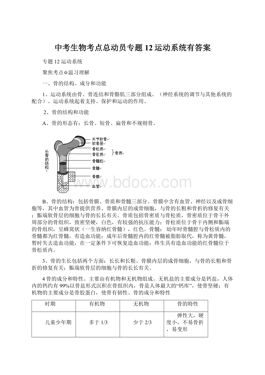 中考生物考点总动员专题12运动系统有答案.docx_第1页