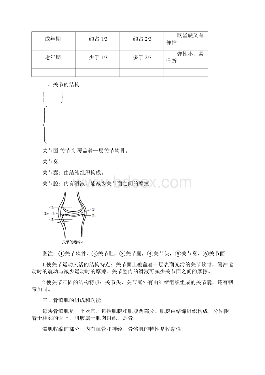 中考生物考点总动员专题12运动系统有答案.docx_第2页