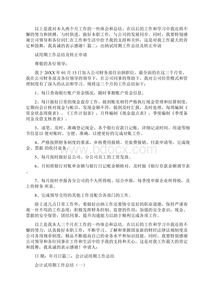 出纳试用期转正工作总结.docx_第2页