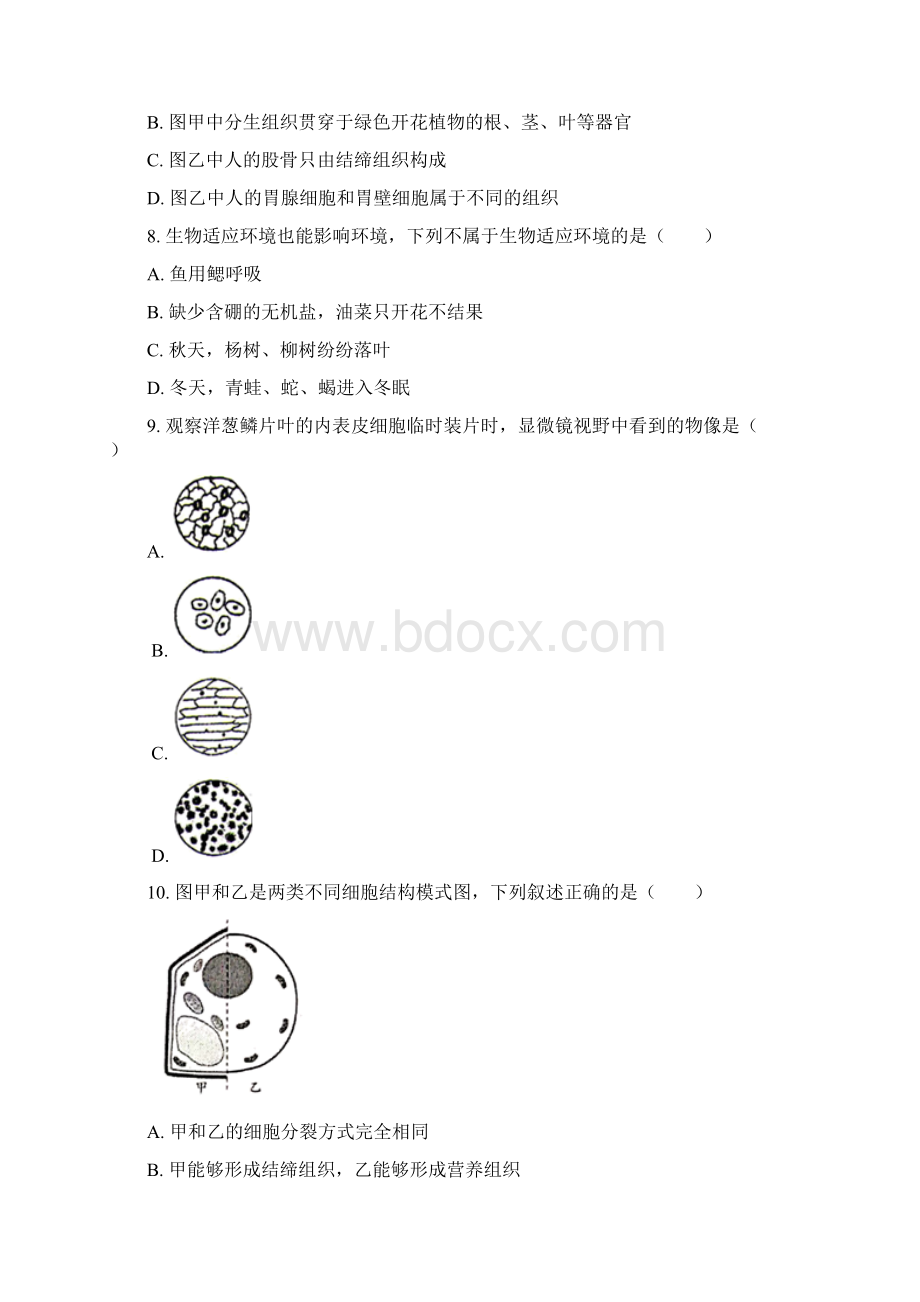 精品解析山东省青岛市市南区青岛大学附属中学学年七年级上学期期中生物试题原卷版.docx_第3页