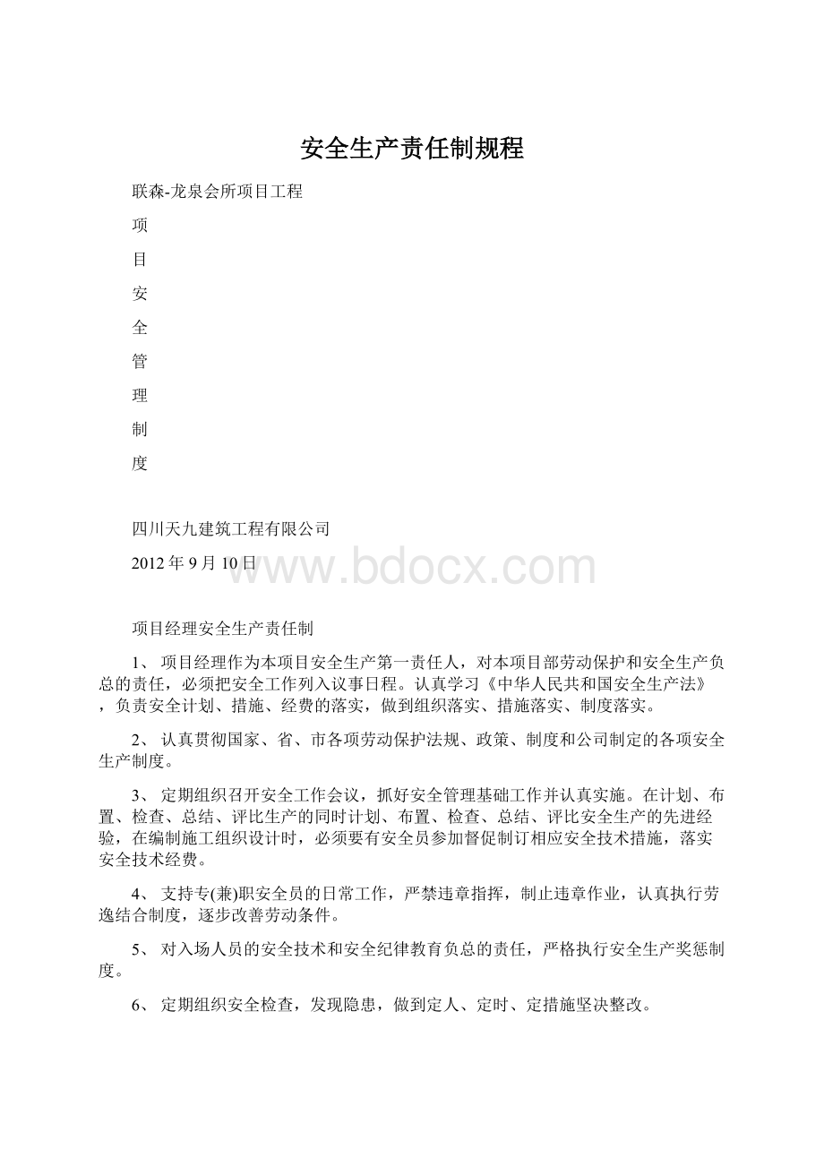 安全生产责任制规程.docx_第1页