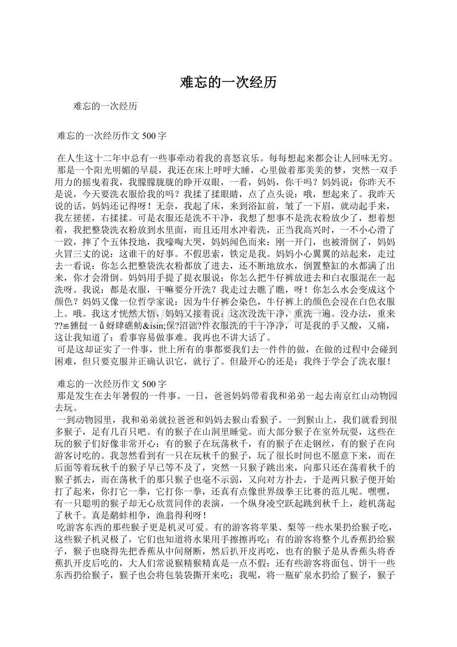 难忘的一次经历.docx_第1页