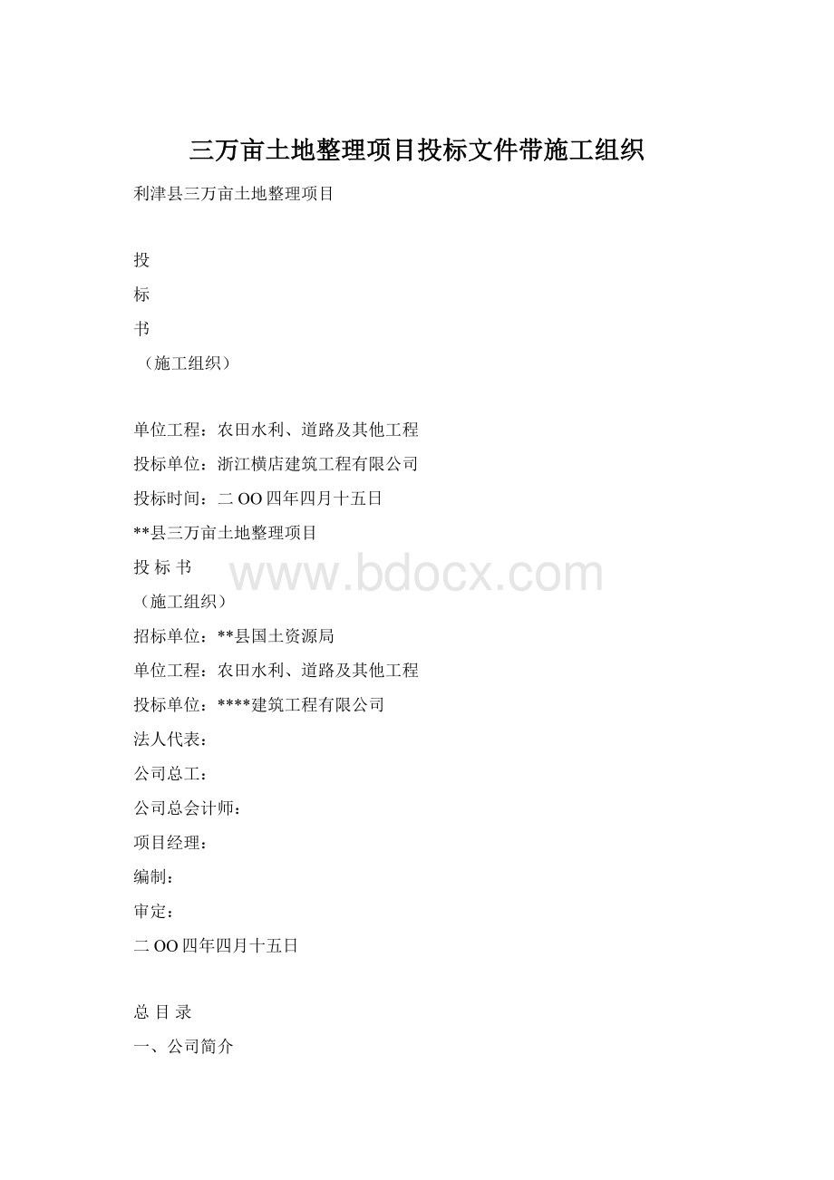 三万亩土地整理项目投标文件带施工组织.docx