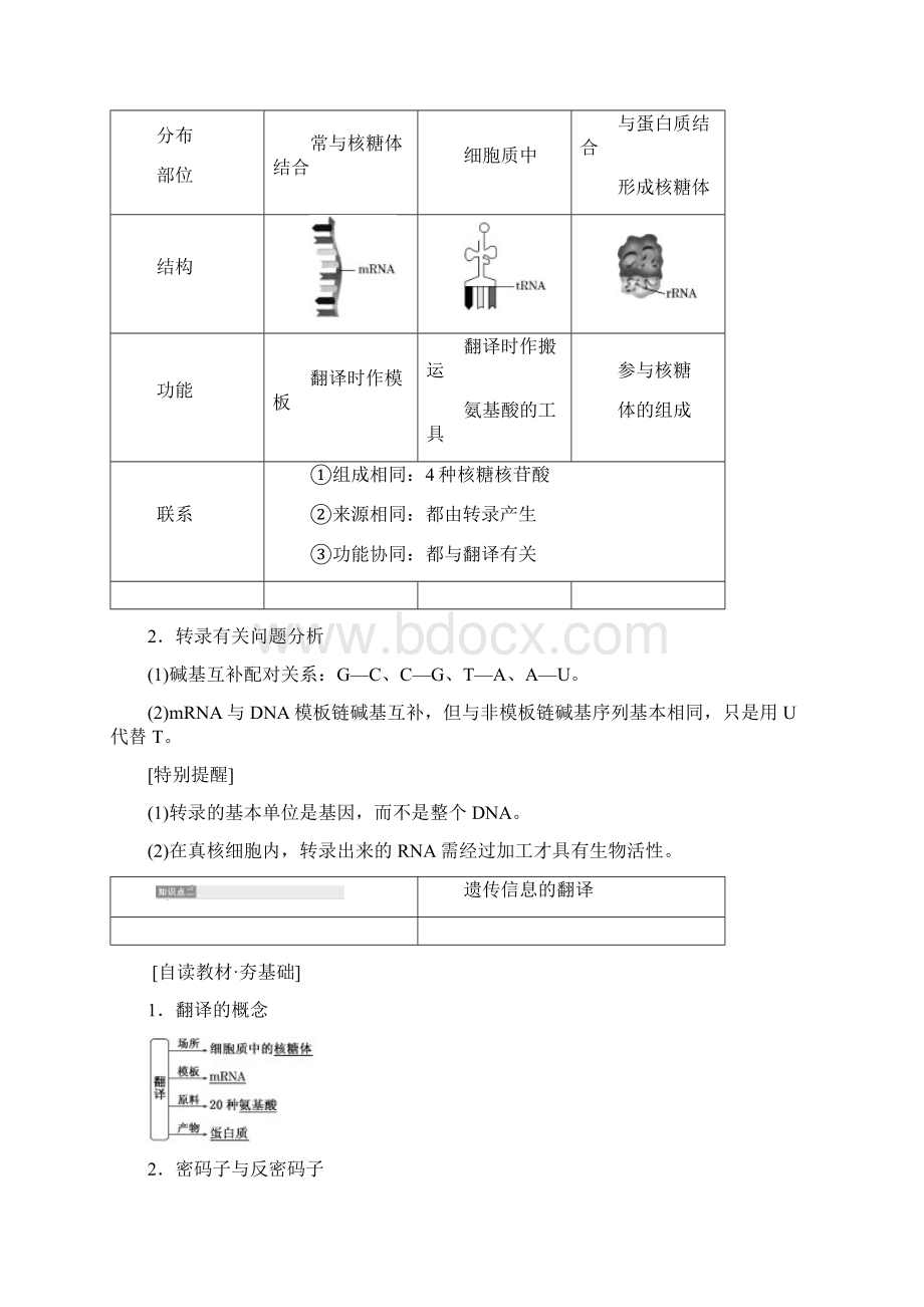 学年高中生物第4章基因的表达第1节基因指导蛋白质的合成学案新人教版必修2.docx_第3页