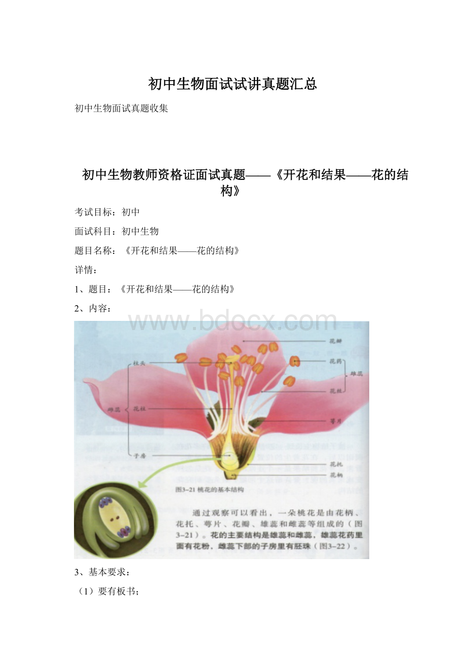 初中生物面试试讲真题汇总.docx