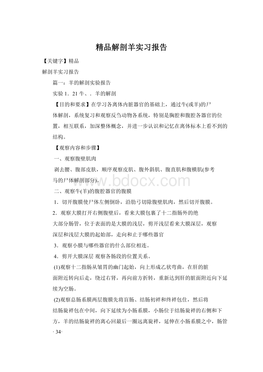 精品解剖羊实习报告.docx