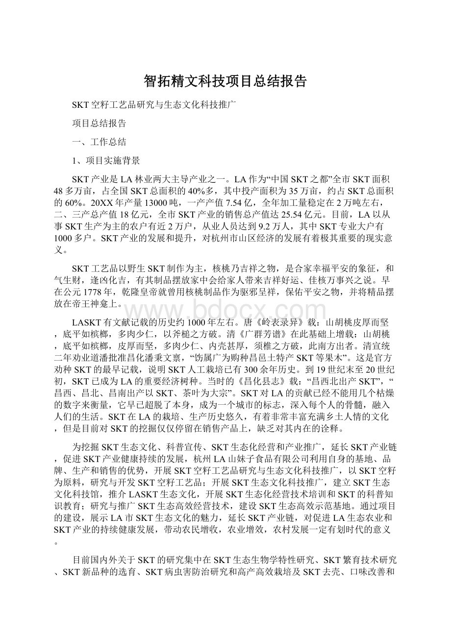 智拓精文科技项目总结报告.docx_第1页