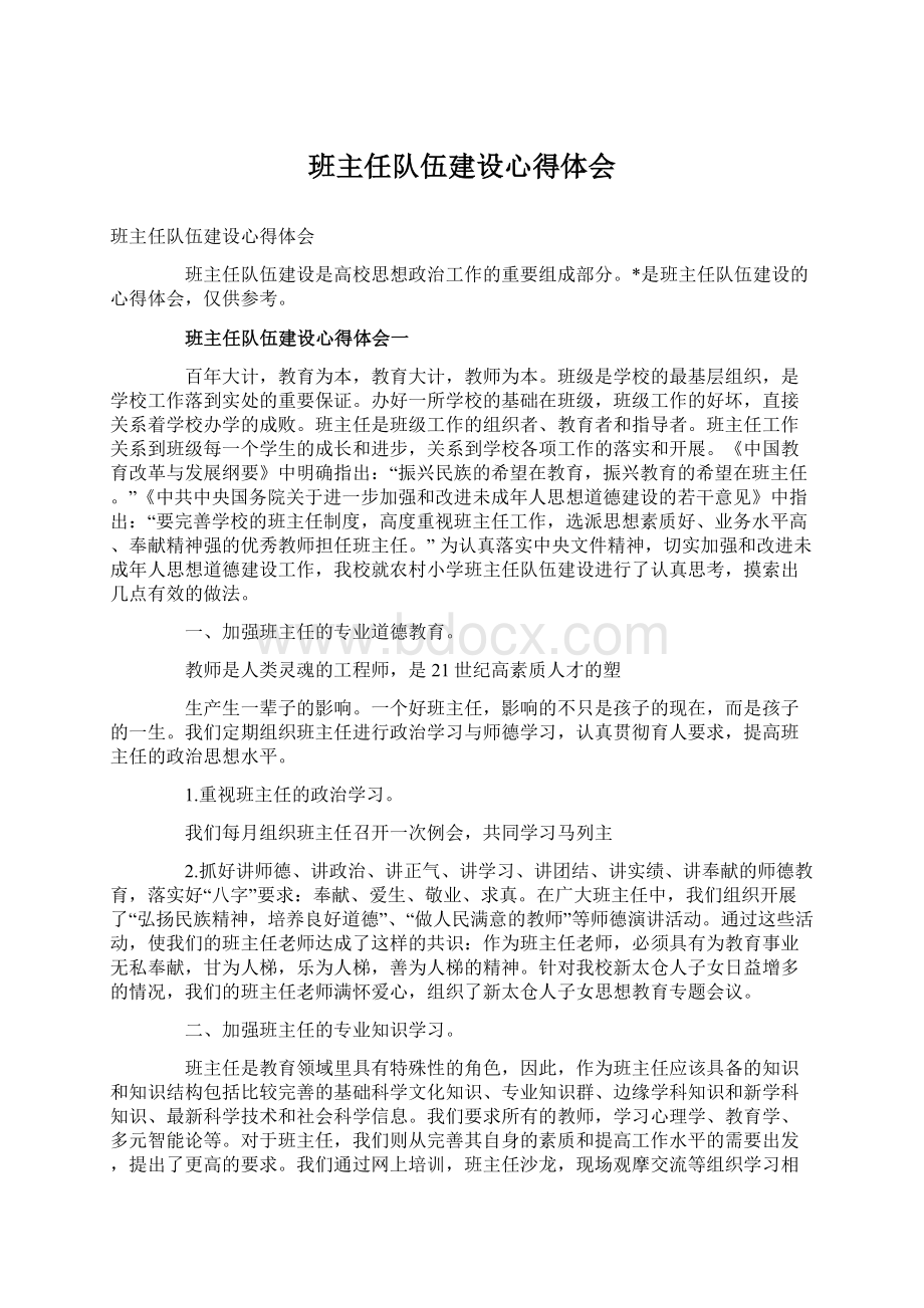 班主任队伍建设心得体会.docx