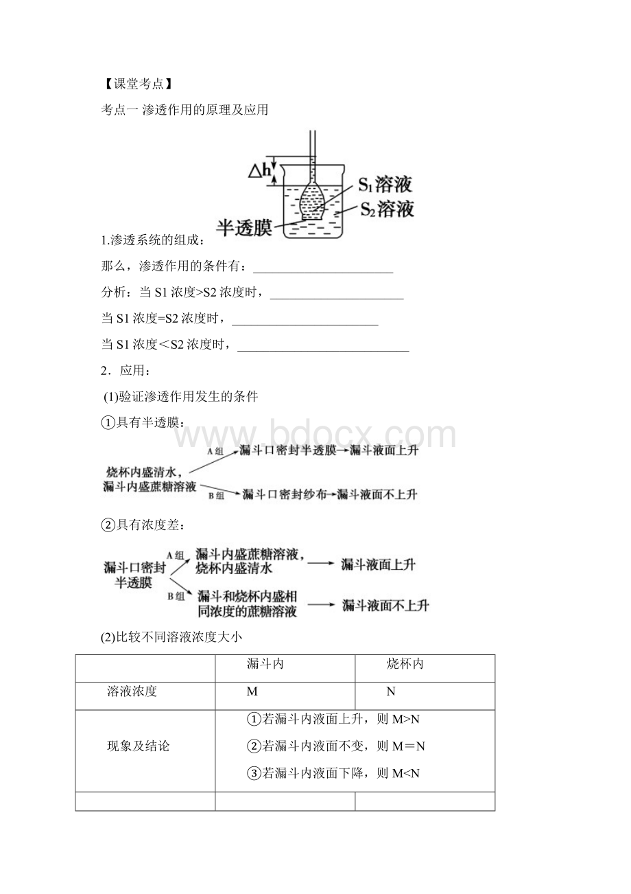 高三一轮复习学案 细胞的物质输入与输出.docx_第3页