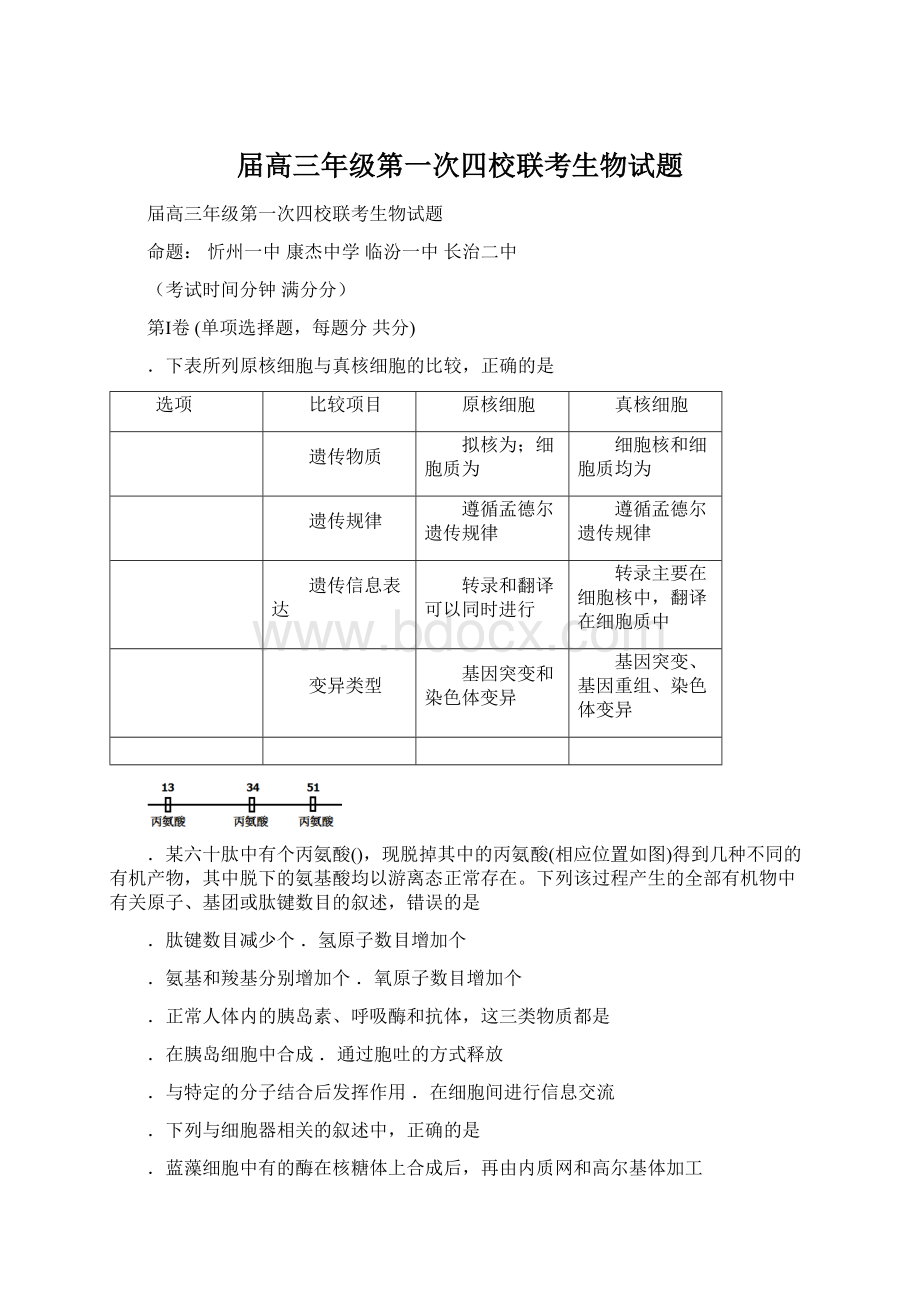 届高三年级第一次四校联考生物试题.docx