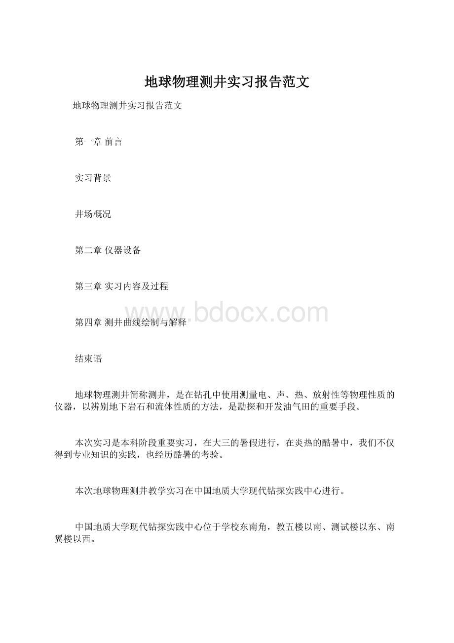 地球物理测井实习报告范文.docx_第1页