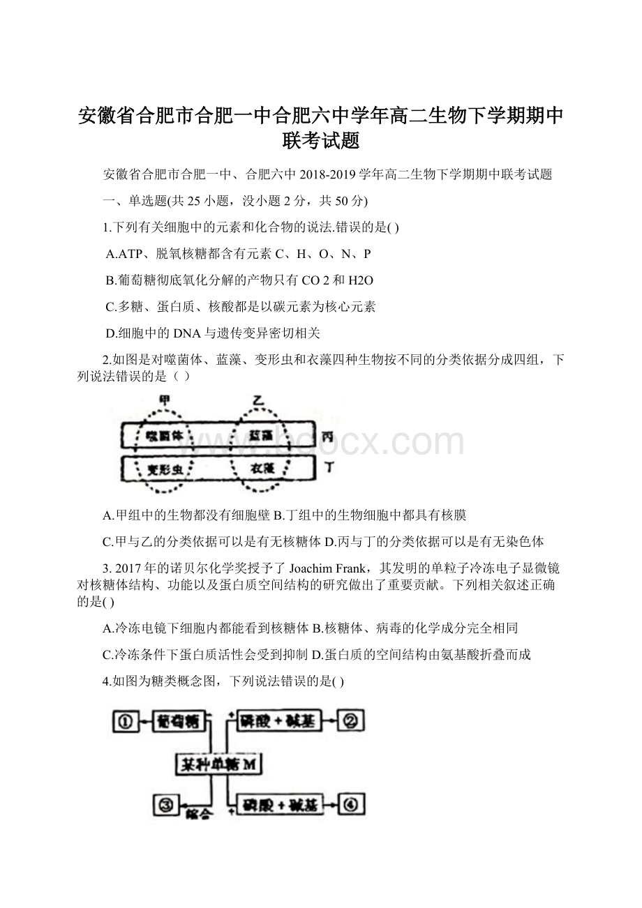 安徽省合肥市合肥一中合肥六中学年高二生物下学期期中联考试题.docx