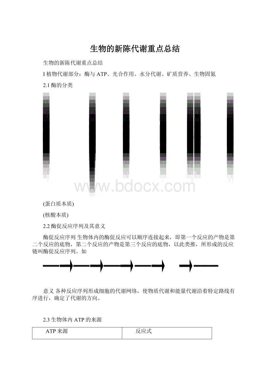 生物的新陈代谢重点总结.docx_第1页