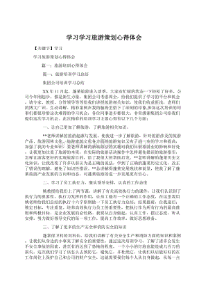 学习学习旅游策划心得体会.docx