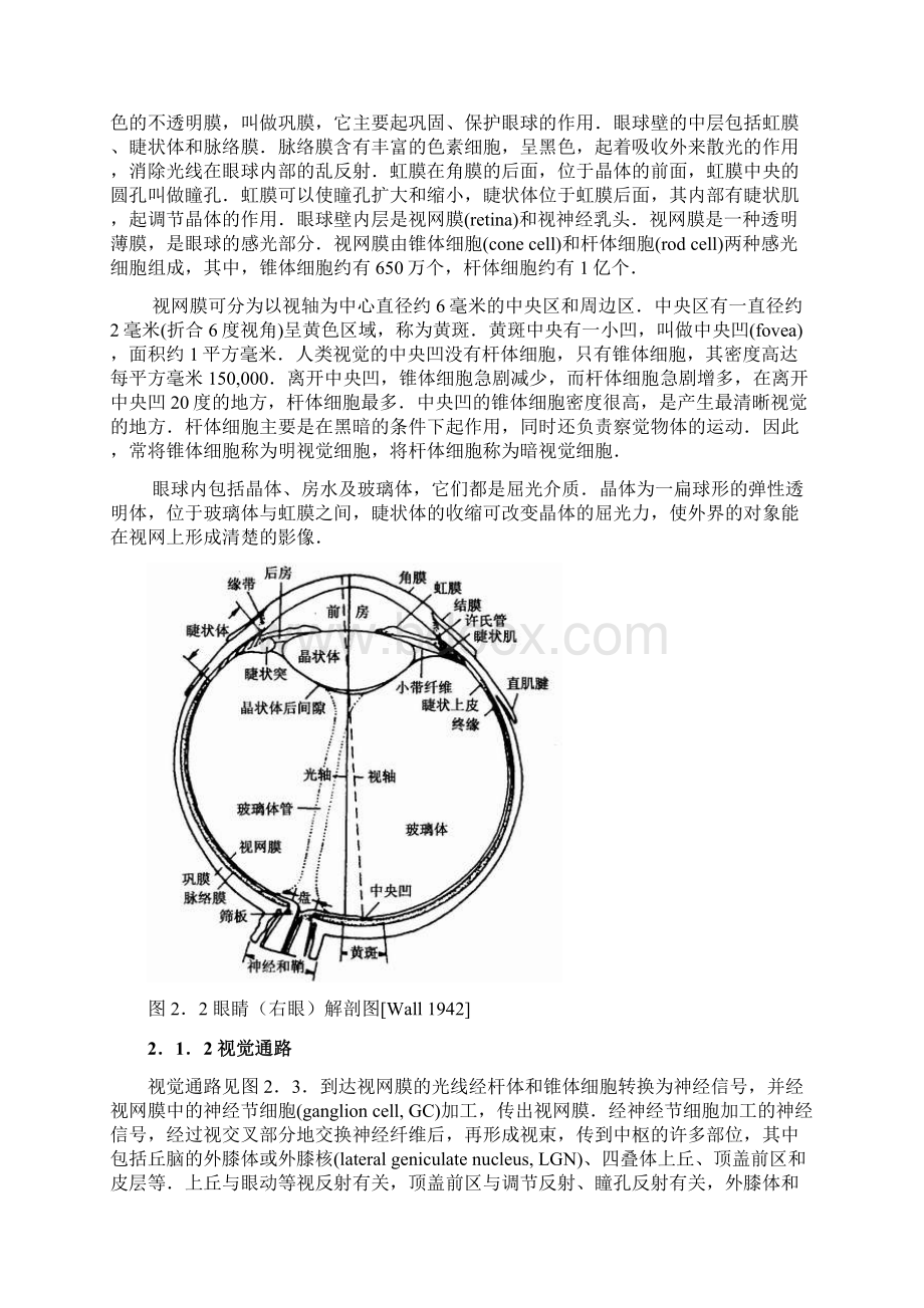 第02章 北理工贾云德《计算机视觉》人类视觉.docx_第2页