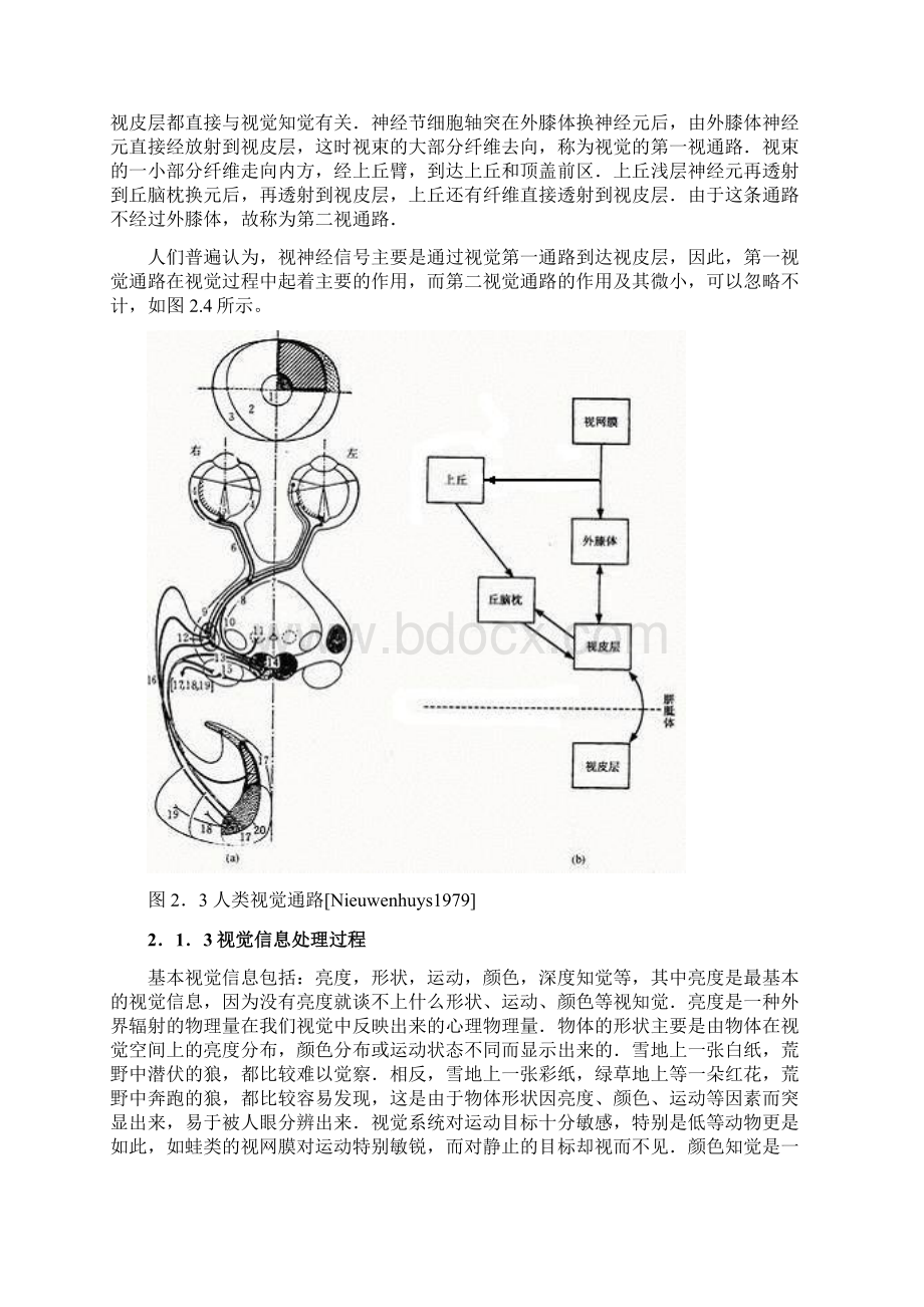 第02章 北理工贾云德《计算机视觉》人类视觉.docx_第3页