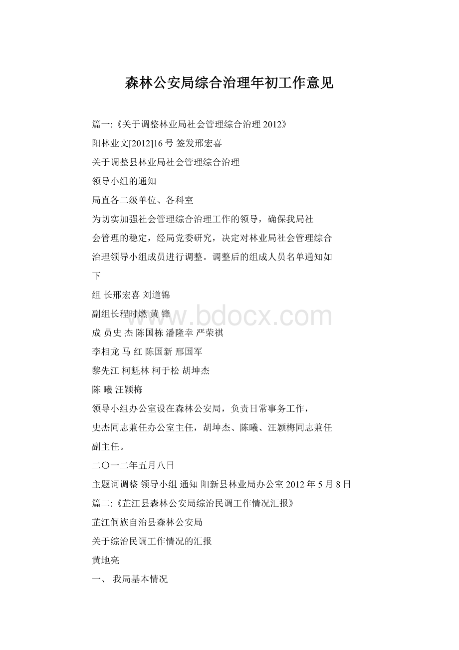 森林公安局综合治理年初工作意见.docx