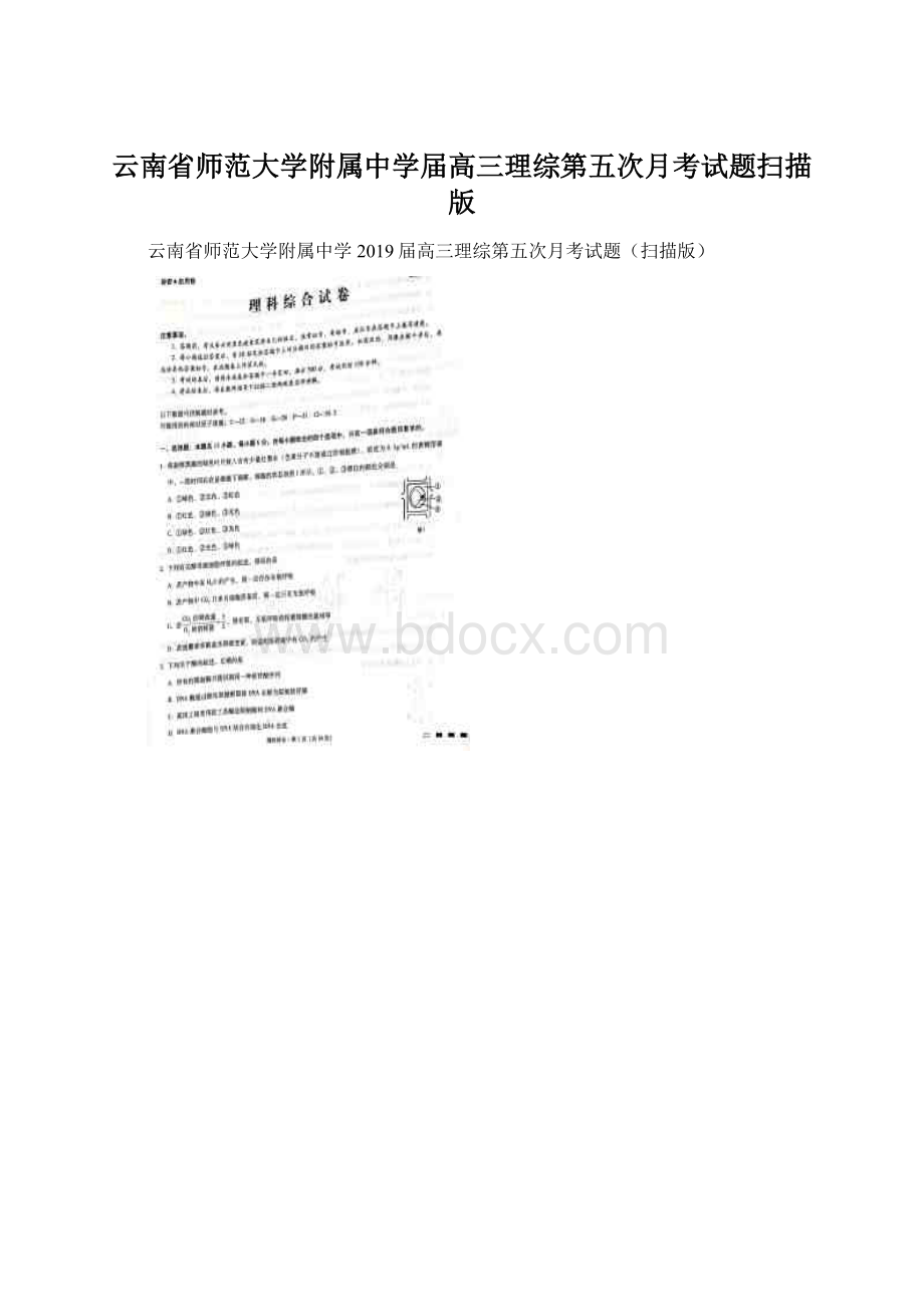 云南省师范大学附属中学届高三理综第五次月考试题扫描版.docx