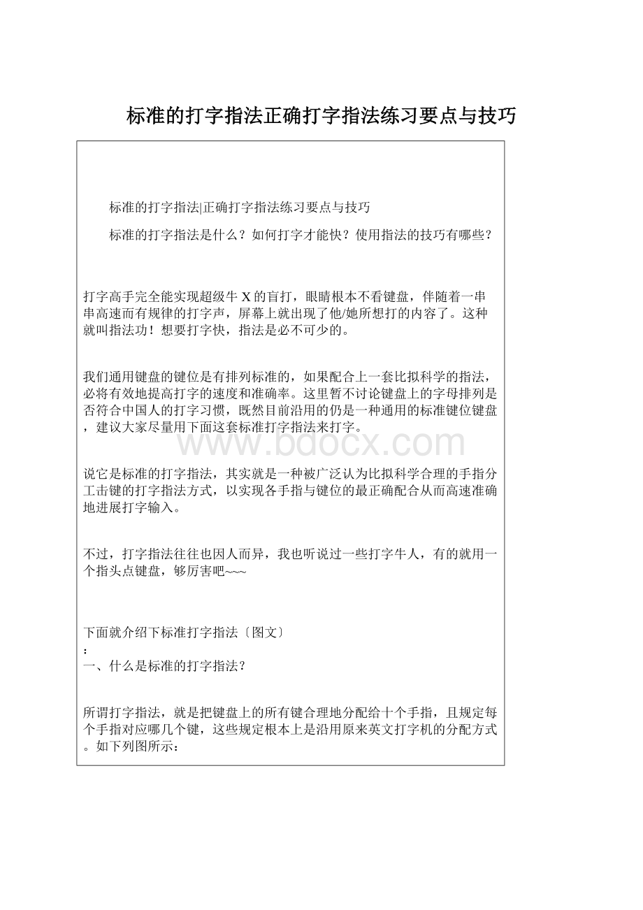 标准的打字指法正确打字指法练习要点与技巧.docx_第1页