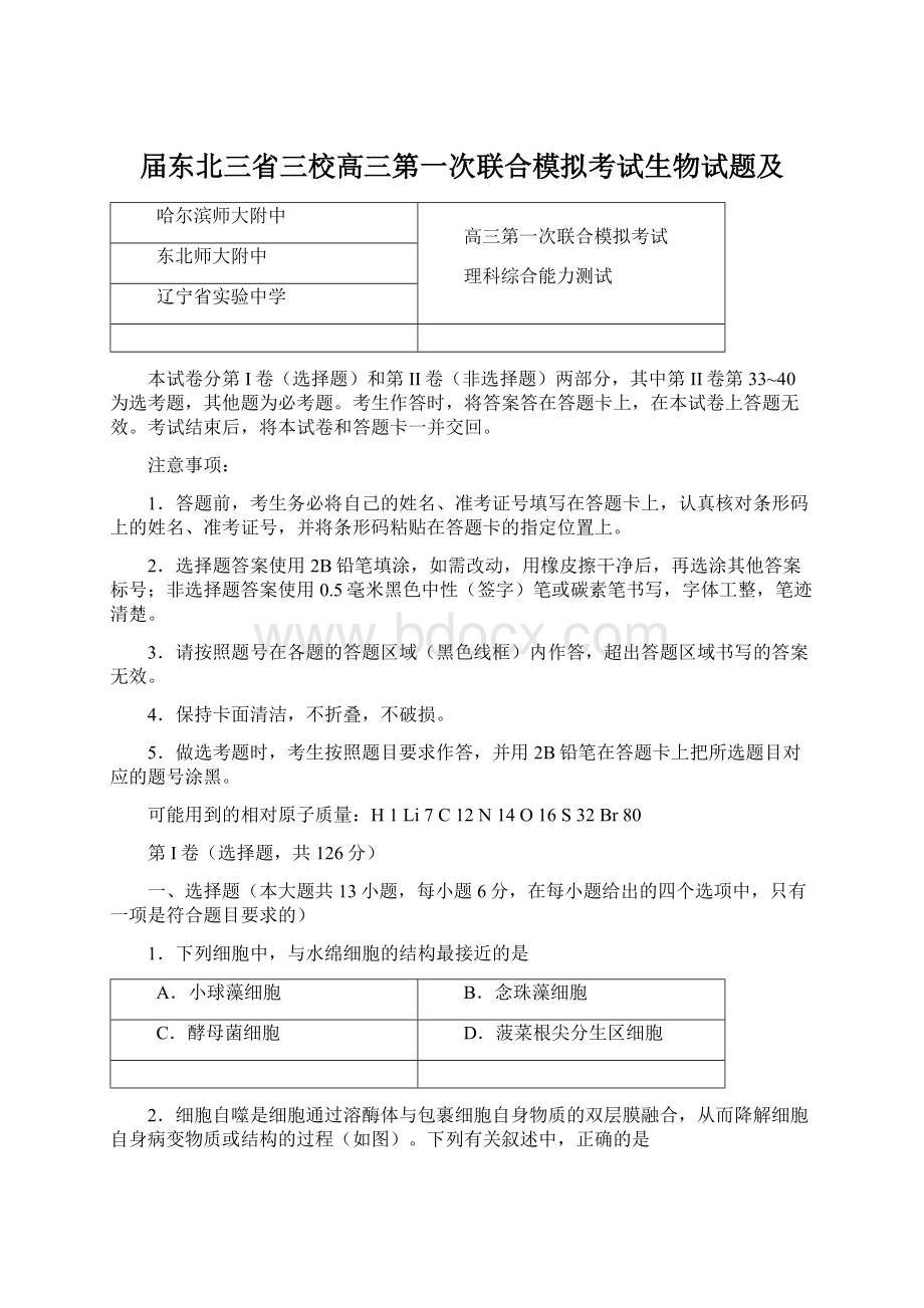 届东北三省三校高三第一次联合模拟考试生物试题及.docx