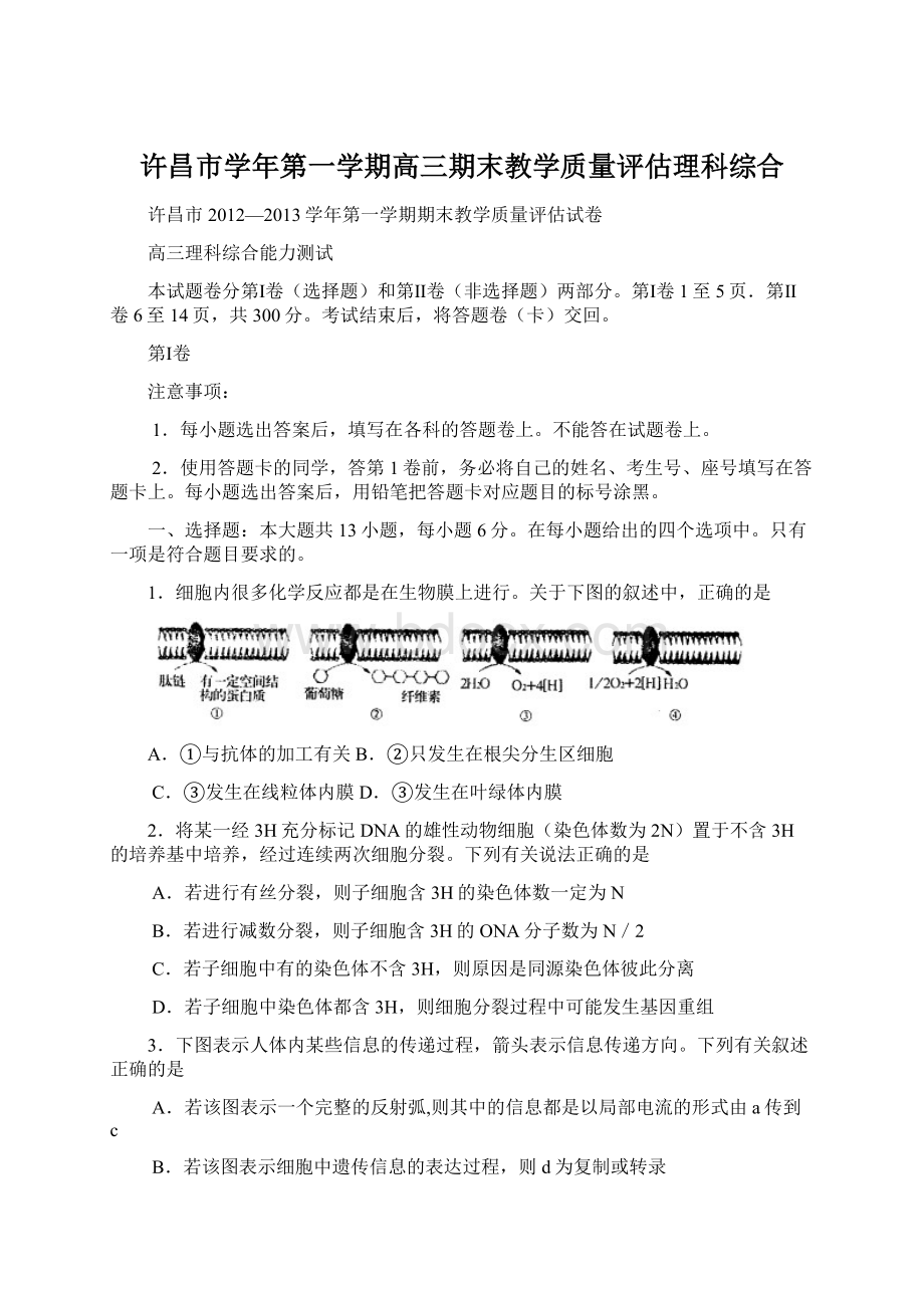 许昌市学年第一学期高三期末教学质量评估理科综合.docx