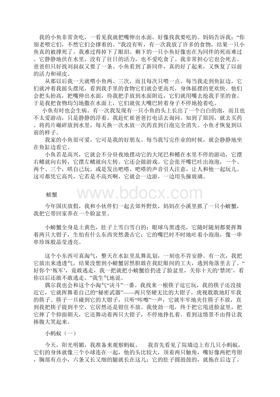 人教版四年级语文上册第四单元作文.docx_第2页