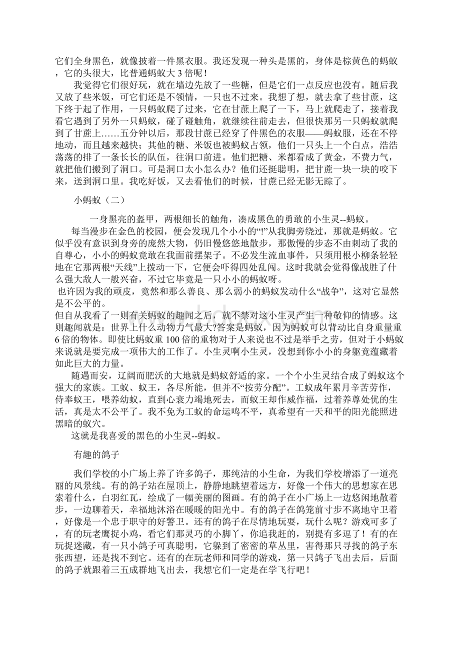 人教版四年级语文上册第四单元作文.docx_第3页