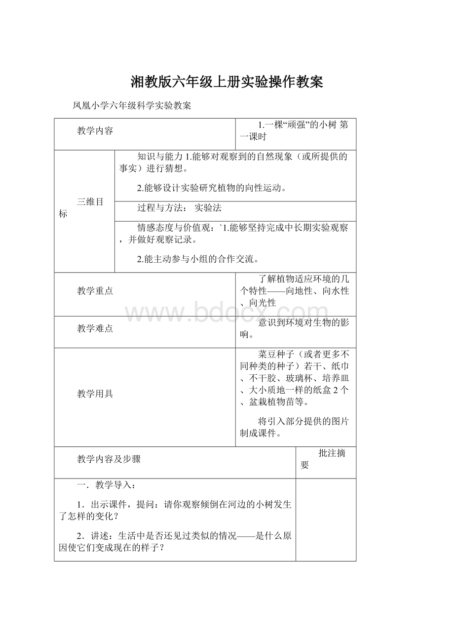 湘教版六年级上册实验操作教案.docx_第1页