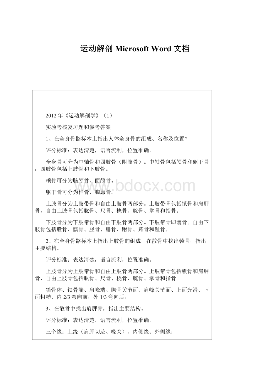 运动解剖 Microsoft Word 文档.docx_第1页