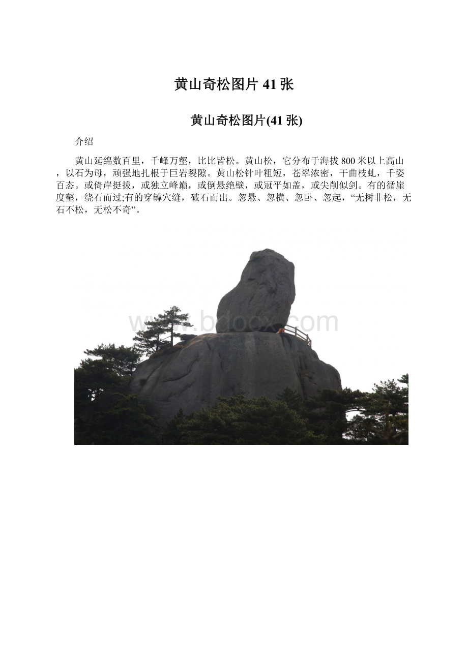 黄山奇松图片41张.docx