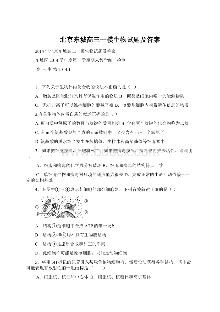 北京东城高三一模生物试题及答案.docx_第1页