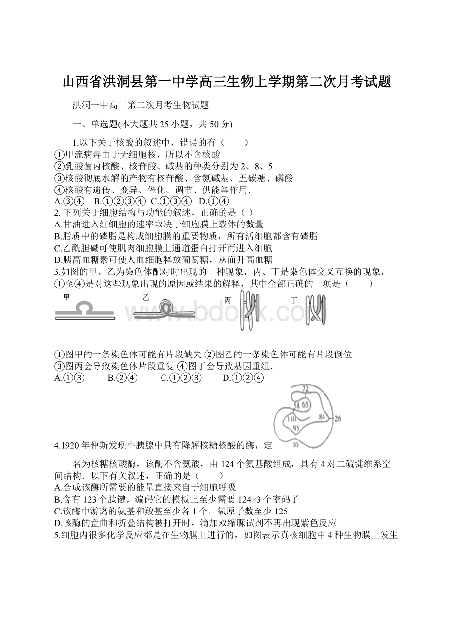 山西省洪洞县第一中学高三生物上学期第二次月考试题.docx_第1页