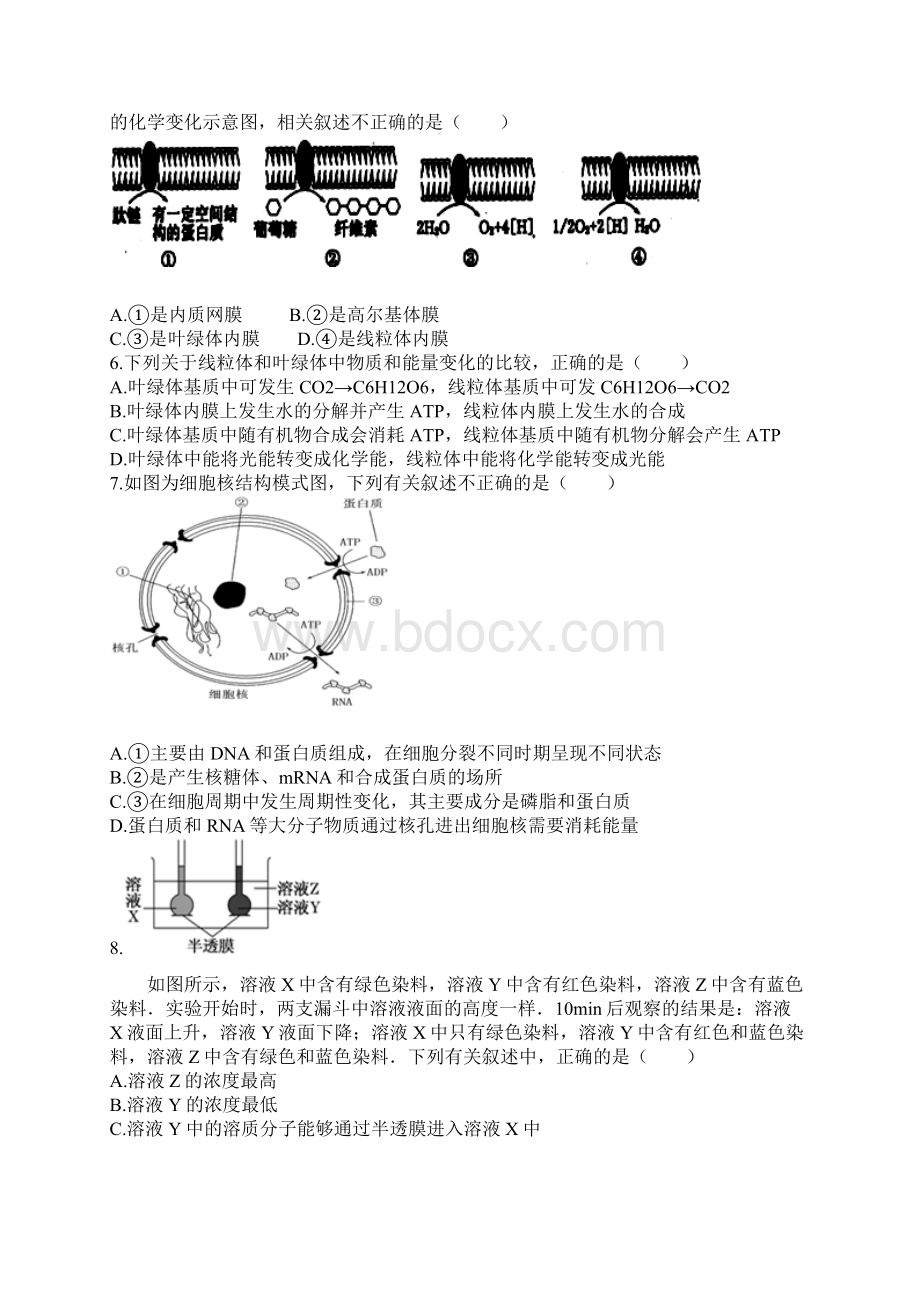 山西省洪洞县第一中学高三生物上学期第二次月考试题.docx_第2页