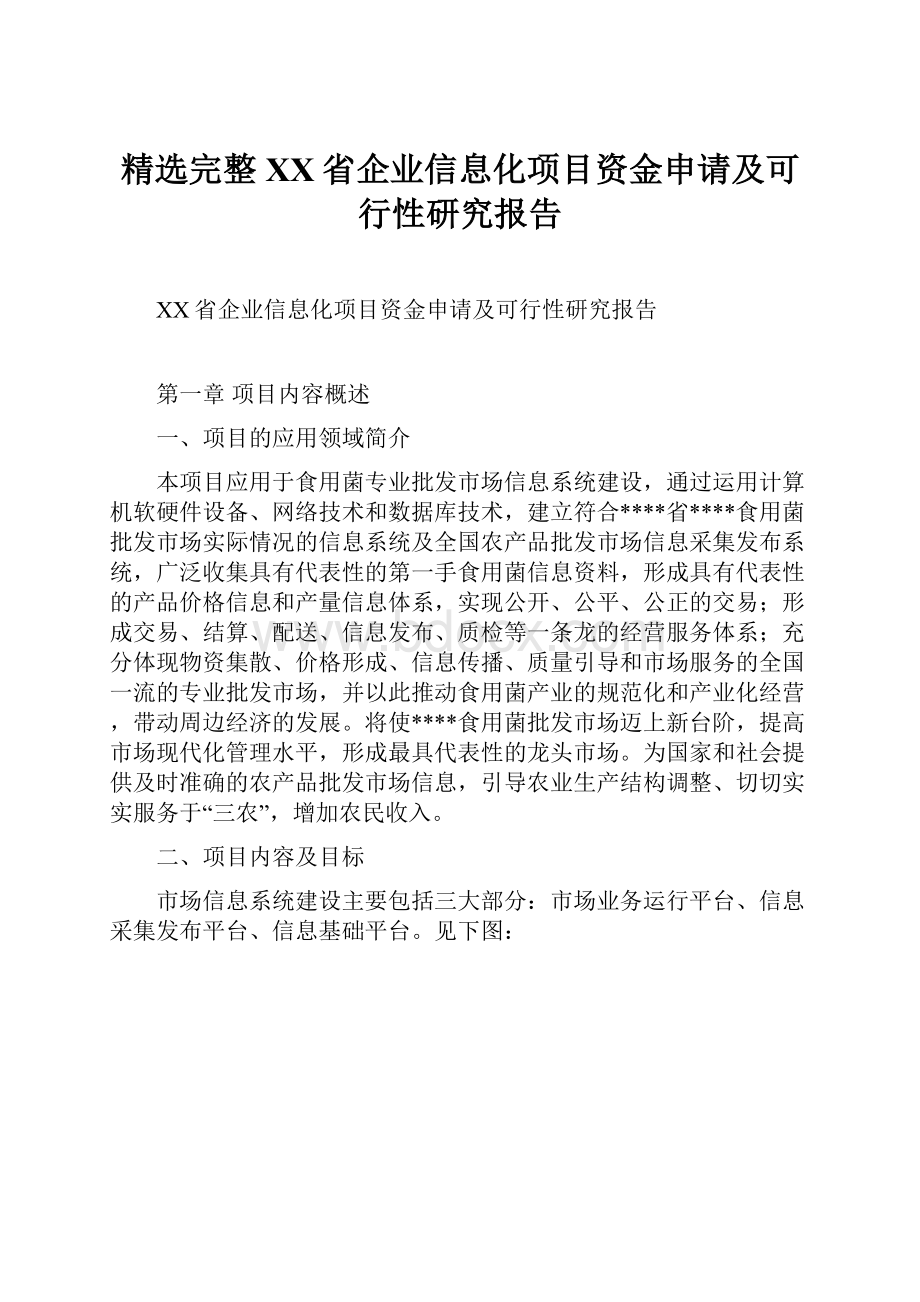 精选完整XX省企业信息化项目资金申请及可行性研究报告.docx_第1页