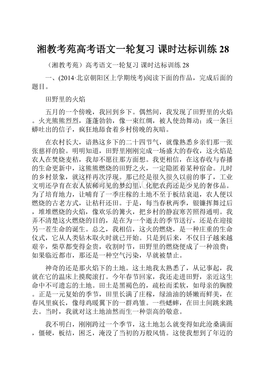 湘教考苑高考语文一轮复习 课时达标训练28.docx