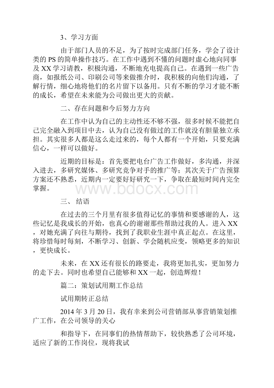 策划文案试用期工作总结.docx_第2页