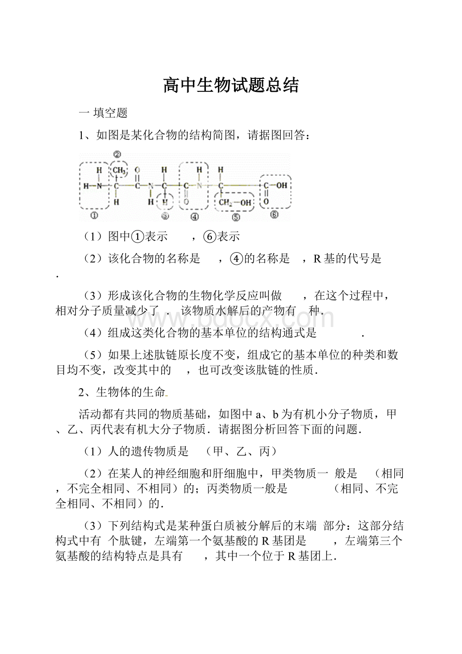 高中生物试题总结.docx_第1页