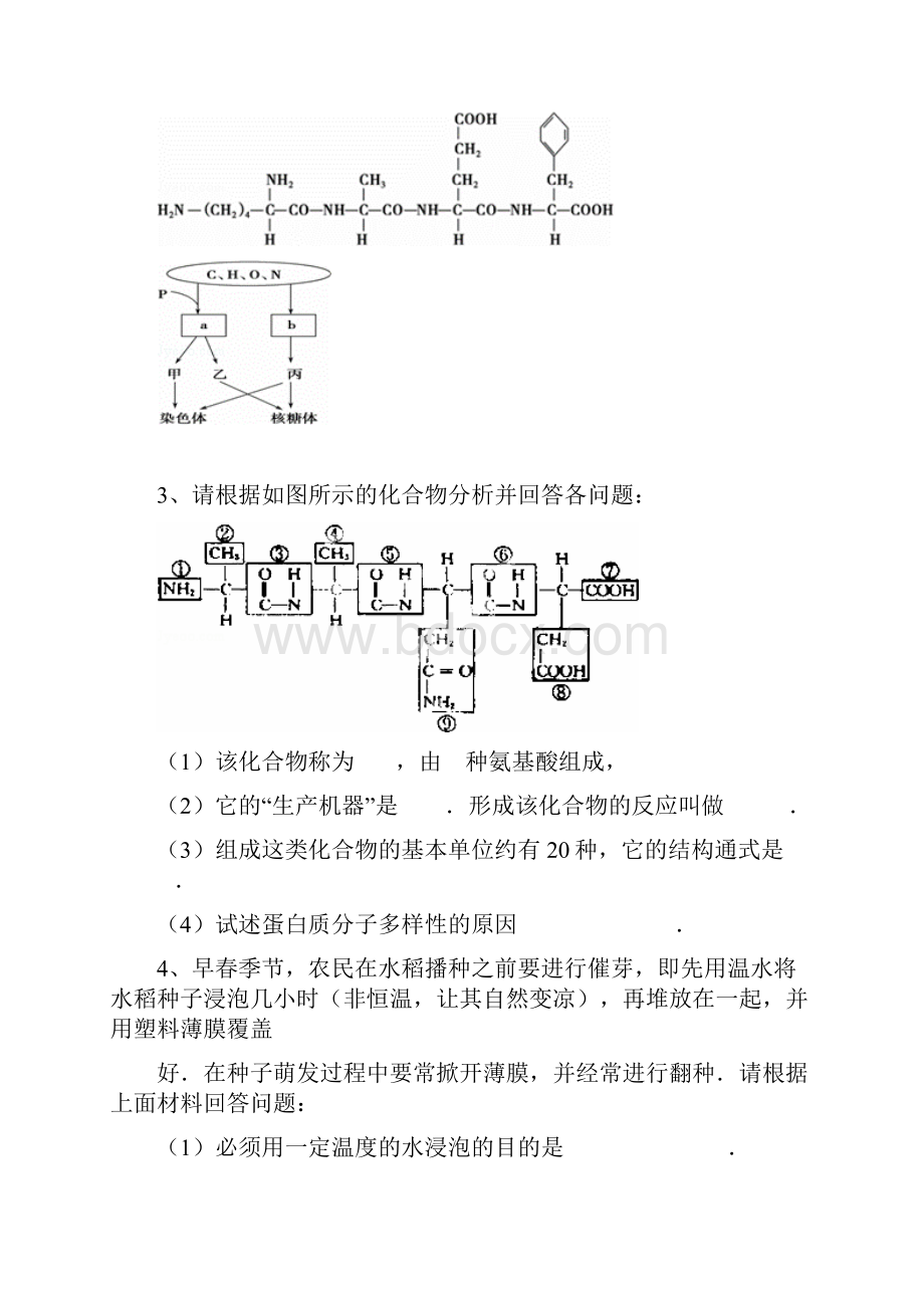 高中生物试题总结.docx_第2页