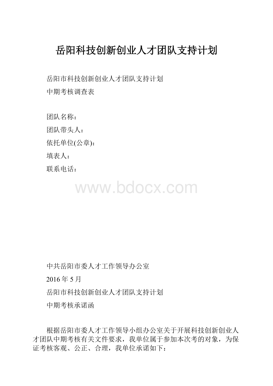 岳阳科技创新创业人才团队支持计划.docx_第1页