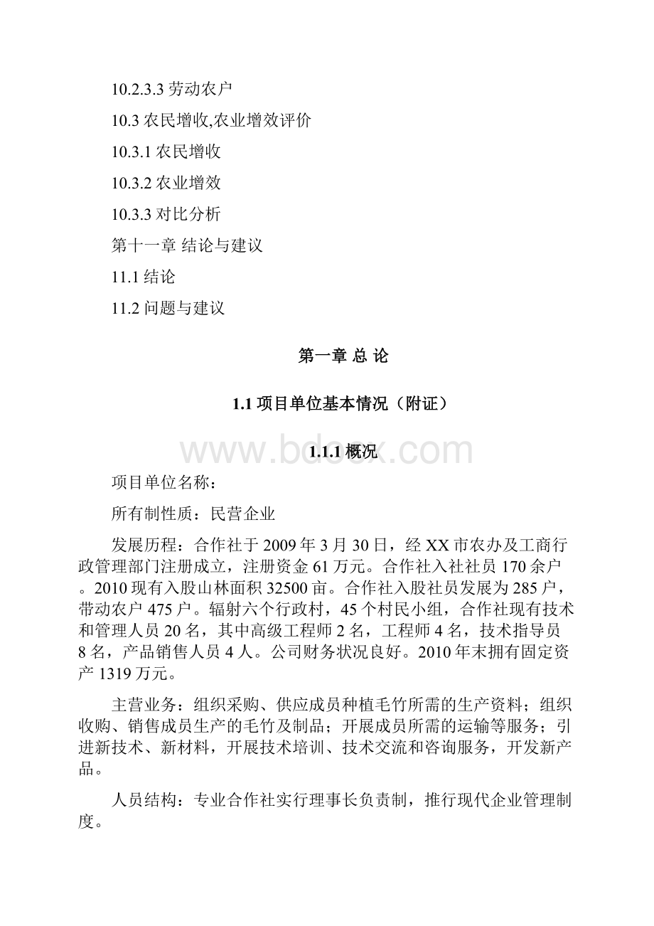 BNP毛竹增产竹腔施肥育竹丰产技术示范与推广项目可行性研究报告.docx_第2页