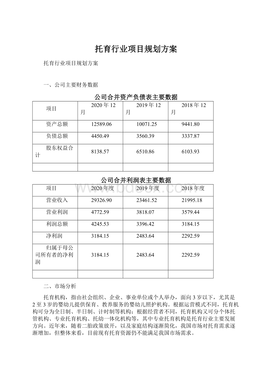 托育行业项目规划方案.docx