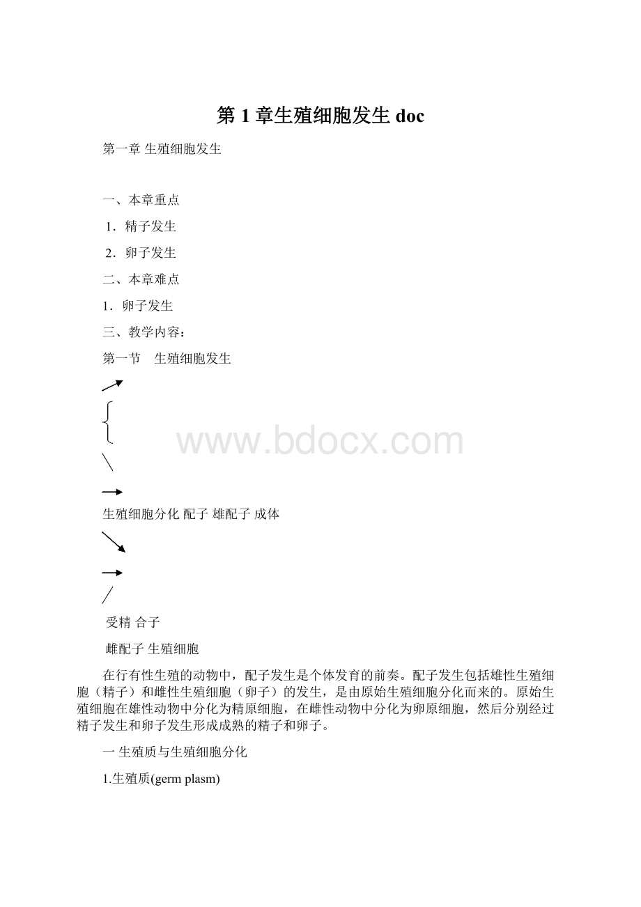 第1章生殖细胞发生doc.docx_第1页