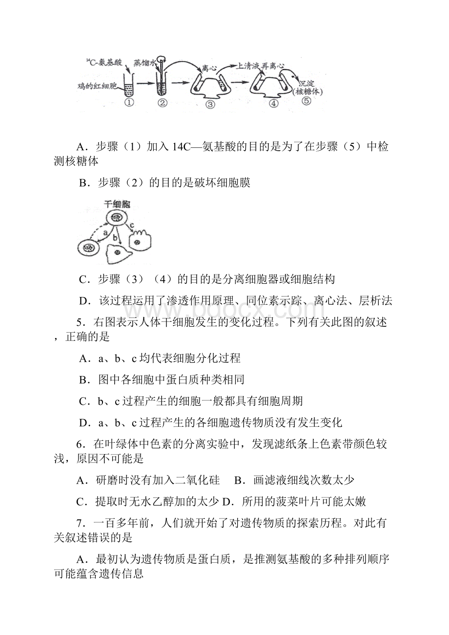 江苏省盐城市时杨中学届高三调研生物试题.docx_第2页