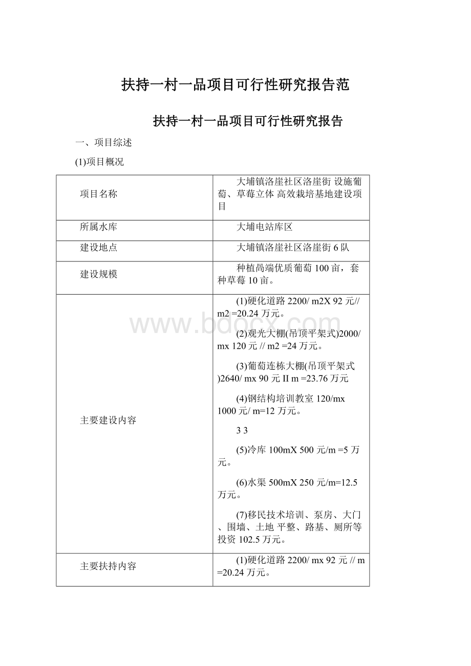 扶持一村一品项目可行性研究报告范.docx